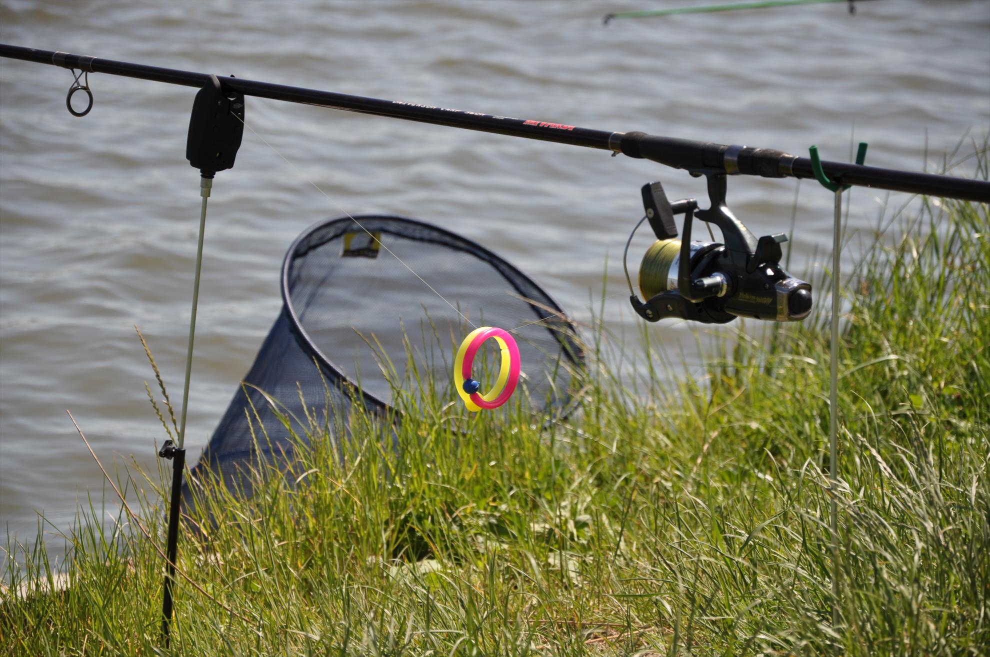  GREENFISH - dsc0159.JPG